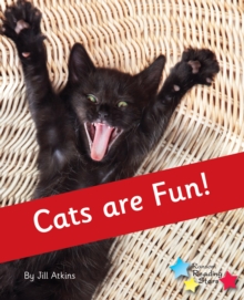 Cats are Fun! : Phonics Phase 4