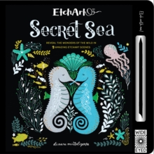 Etchart: Secret Sea, Novelty book Book Etchart: Secret Sea, Novelty book Book