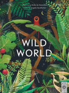 Wild World