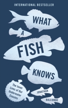 What a Fish Knows : The Inner Lives of Our Underwater Cousins, Paperback / softback Book What a Fish Knows : The Inner Lives of Our Underwater Cousins, Paperback / softback Book