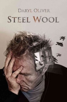 Steel Wool, Paperback Book Steel Wool, Paperback Book