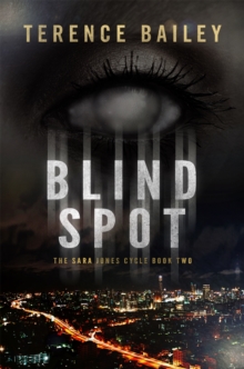 Blind Spot, Paperback / softback Book Blind Spot, Paperback / softback Book