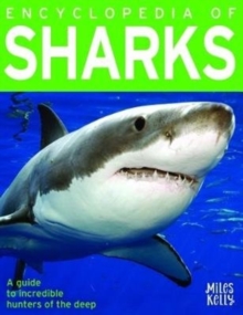 Encyclopedia of Sharks, Paperback Book Encyclopedia of Sharks, Paperback Book