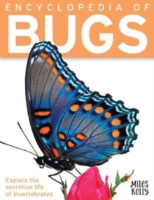 Encyclopedia of Bugs, Paperback / softback Book Encyclopedia of Bugs, Paperback / softback Book
