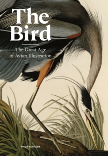 The Bird : The Great Age of Avian Illustration