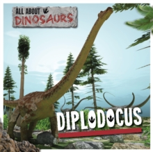 All About Dinosaurs: Diplodocus, Hardback Book All About Dinosaurs: Diplodocus, Hardback Book