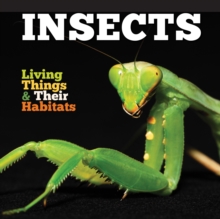 Insects, Hardback Book Insects, Hardback Book