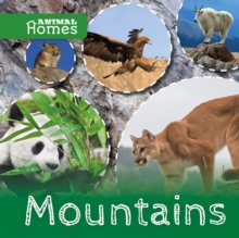 Mountains