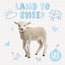 Life Cycles: Lamb to Sheep, Hardback Book Life Cycles: Lamb to Sheep, Hardback Book