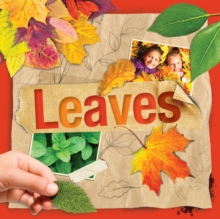 Plant Parts: Leaves, Hardback Book Plant Parts: Leaves, Hardback Book