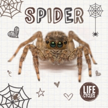 Spider, Hardback Book Spider, Hardback Book