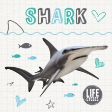 Shark, Hardback Book Shark, Hardback Book