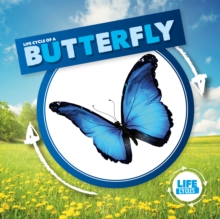 Life Cycle of a Butterfly, Hardback Book Life Cycle of a Butterfly, Hardback Book