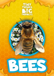 Bees, Hardback Book Bees, Hardback Book