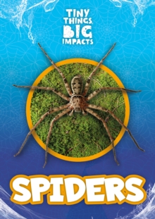 Spiders, Hardback Book Spiders, Hardback Book