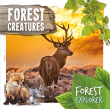 Forest Creatures, Hardback Book Forest Creatures, Hardback Book