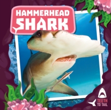 Hammerhead Shark : Teeth to Tail, Hardback Book Hammerhead Shark : Teeth to Tail, Hardback Book
