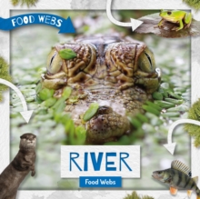 River Food Webs, Hardback Book River Food Webs, Hardback Book
