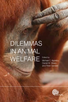 Dilemmas in Animal Welfare, Paperback / softback Book Dilemmas in Animal Welfare, Paperback / softback Book