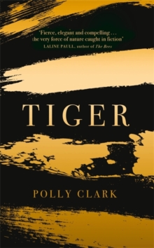 Tiger, Hardback Book Tiger, Hardback Book