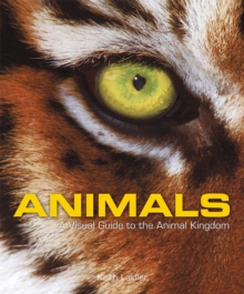 Animals : A Visual Guide to the Animal Kingdom, Hardback Book Animals : A Visual Guide to the Animal Kingdom, Hardback Book