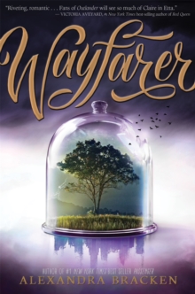 Passenger: Wayfarer, Paperback Book Passenger: Wayfarer, Paperback Book