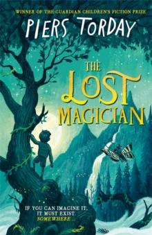The Lost Magician, Hardback Book The Lost Magician, Hardback Book