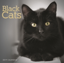 Black Cats W 2019, Paperback Book Black Cats W 2019, Paperback Book