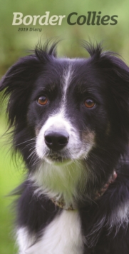 Border Collies Slim D 2019, Paperback Book Border Collies Slim D 2019, Paperback Book