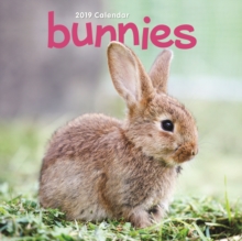 Bunnies M 2019, Paperback Book Bunnies M 2019, Paperback Book