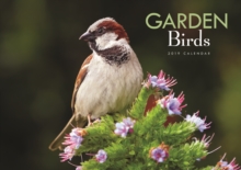 Garden Birds A4 2019, Paperback Book Garden Birds A4 2019, Paperback Book