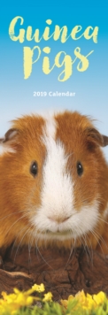 Guinea Pigs S 2019, Paperback Book Guinea Pigs S 2019, Paperback Book