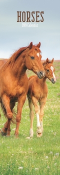 Horses S 2019, Paperback Book Horses S 2019, Paperback Book
