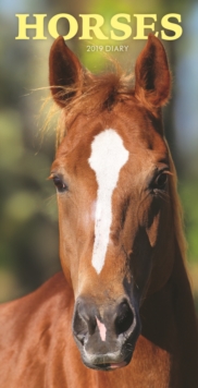 Horses Slim D 2019, Paperback Book Horses Slim D 2019, Paperback Book