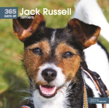 Jack Russell Terriers 365 Days W 2019, Paperback Book Jack Russell Terriers 365 Days W 2019, Paperback Book