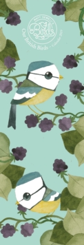 Matt Sewells Birds S 2019, Paperback Book Matt Sewells Birds S 2019, Paperback Book