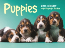 Puppies Mini B 2019, Paperback Book Puppies Mini B 2019, Paperback Book