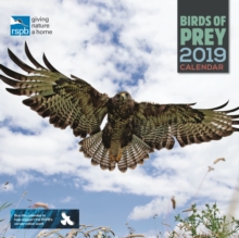RSPB Birds of Prey W 2019, Paperback Book RSPB Birds of Prey W 2019, Paperback Book