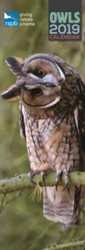 RSPB Owls S 2019, Paperback Book RSPB Owls S 2019, Paperback Book