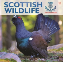 Scottish Wildlife W 2019, Paperback Book Scottish Wildlife W 2019, Paperback Book