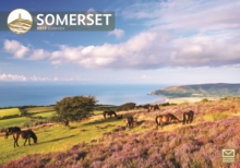 Somerset A4 2019, Paperback Book Somerset A4 2019, Paperback Book