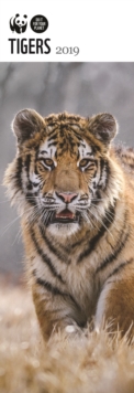 WWF Tigers S 2019, Paperback Book WWF Tigers S 2019, Paperback Book