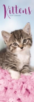 Kittens S 2019, Paperback Book Kittens S 2019, Paperback Book