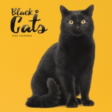 Black Cats Square Wall Calendar 2020, Calendar Book Black Cats Square Wall Calendar 2020, Calendar Book
