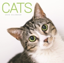 CATS WIRO W 2020, Book CATS WIRO W 2020, Book