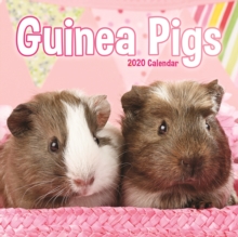 GUINEA PIGS M 2020, Book GUINEA PIGS M 2020, Book