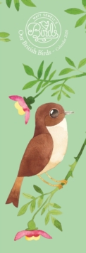 Matt Sewell Birds Slim Calendar 2020, Calendar Book Matt Sewell Birds Slim Calendar 2020, Calendar Book