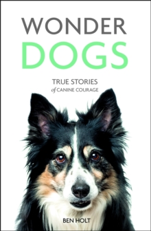 Wonder Dogs : True Stories of Canine Courage