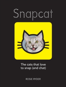 Snapcat : The cats who love to snap (and chat)