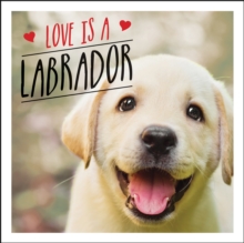 Love Is A Labrador : A Lab-Tastic Celebration Of The World's Favourite Dog